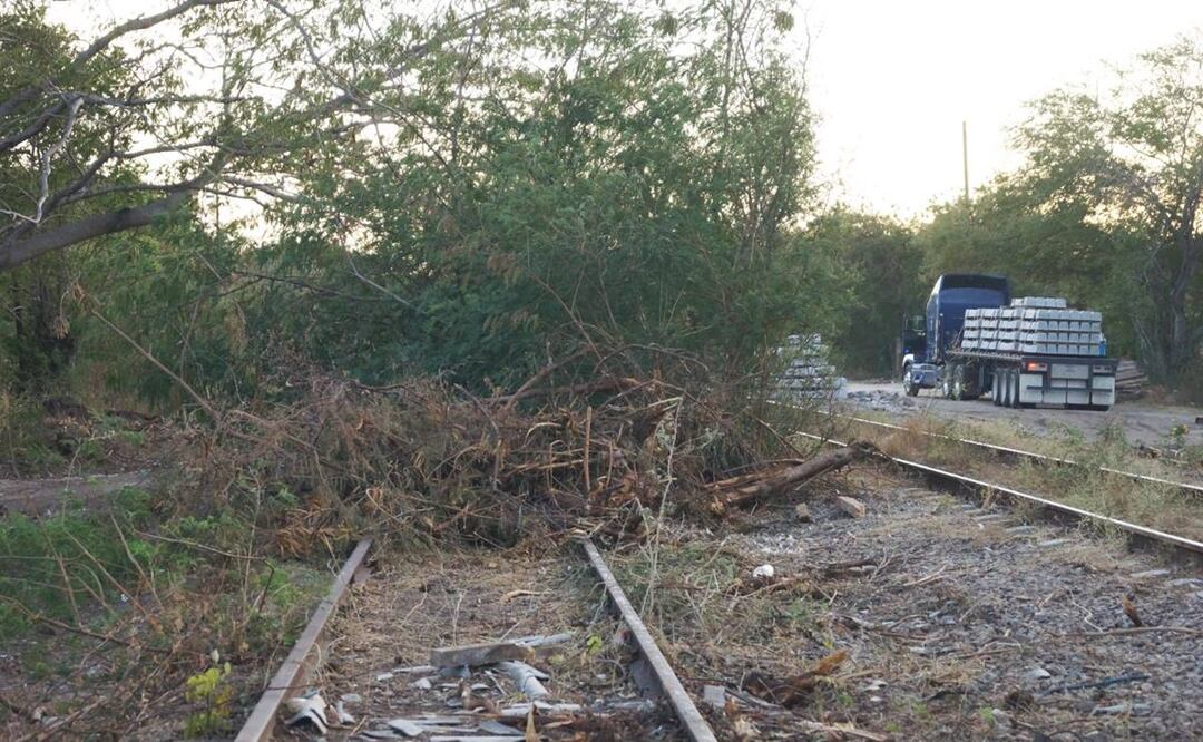 Foto: Archivo El Universal