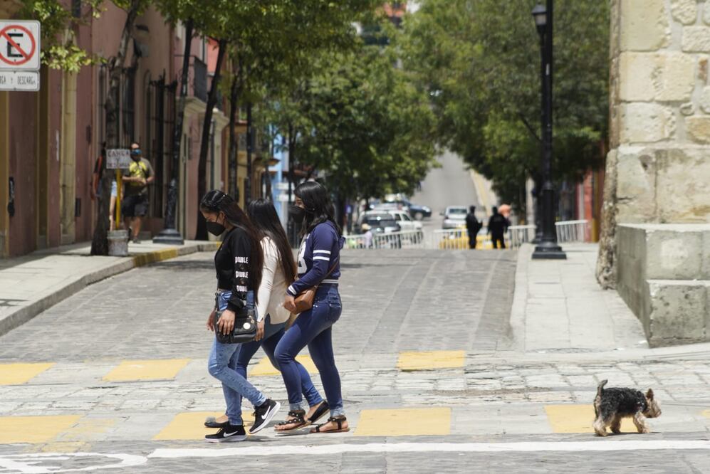 Foto: Mario Arturo Martínez