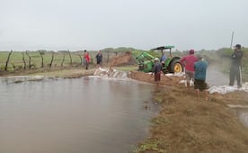 Habitantes de Santa María del Mar, Oaxaca, buscan contener avance del Pacífico sobre sus viviendas