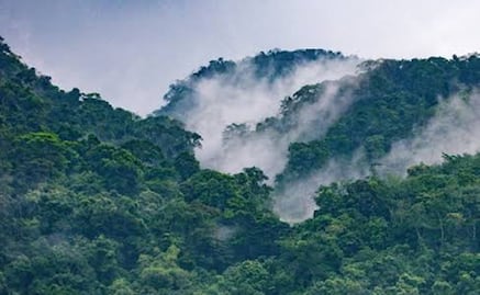 Santa María Chimalapa renuncia al 73% de su territorio para la conservación, pero denuncia imposición del Gobierno federal