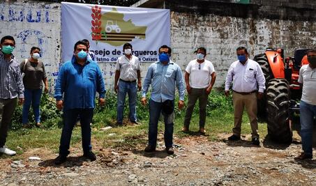 Productores de sorgo se asocian para enfrentar crisis por Covid-19 en el campo istmeño