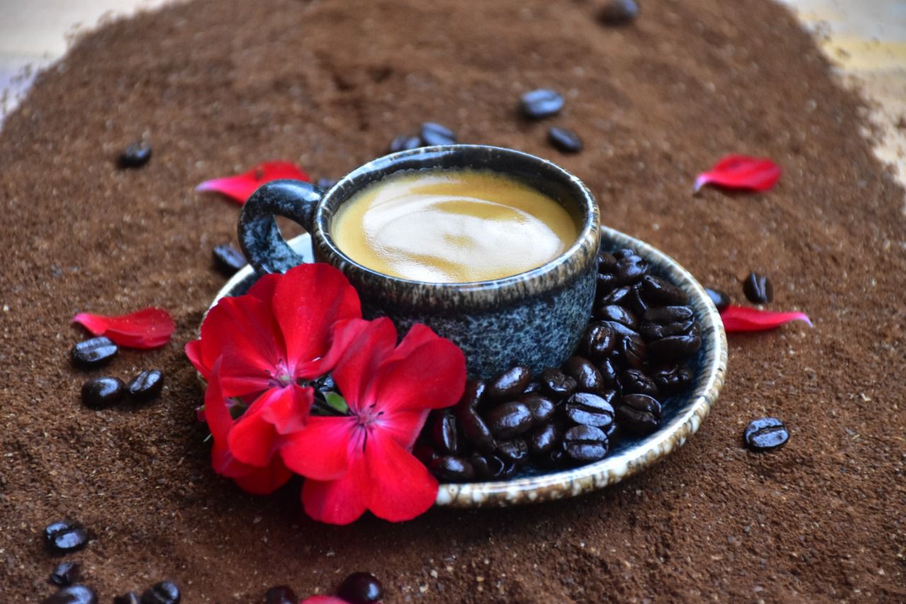 Obtiene Oaxaca Norma Oficial del Café Pluma, en beneficio de más de 28 mil productores
