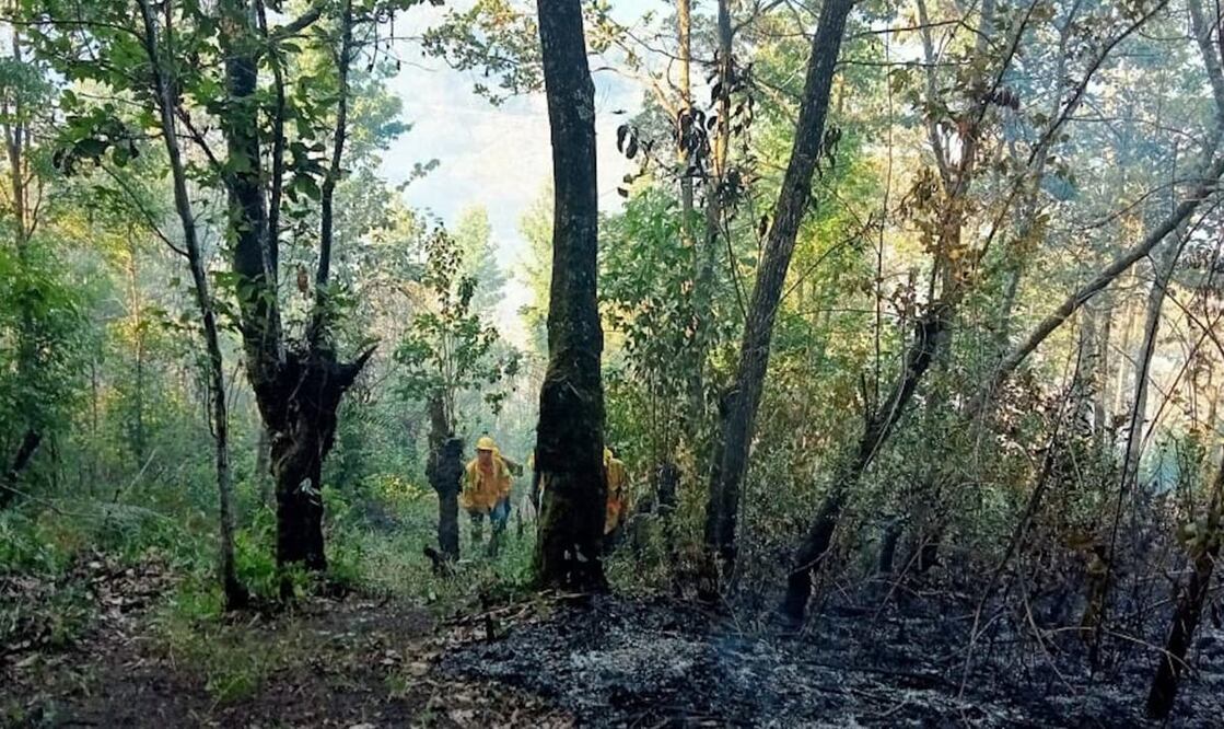 Envía Conafor 3 vehículos para combatir incendio en zona mazateca de Oaxaca. Foto: Especial