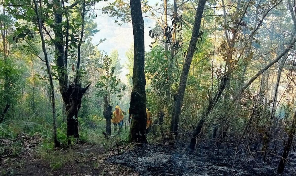 Envía Conafor 3 vehículos para combatir incendio en zona mazateca de Oaxaca