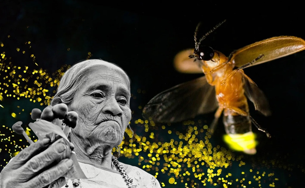 María Sabina, chamana mazateca, es homenajeada con una luciérnaga que lleva su nombre. Un legado que une tradición y ciencia. Foto: Xinhua Fu - Pst Art Gallery.