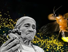 ¿Quién fue María Sabina, la oaxaqueña que inspiró el nombre de una nueva luciérnaga?