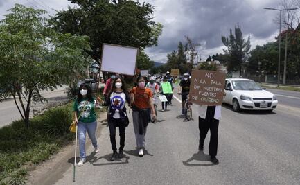 Ante rechazo de obra vial en la capital de Oaxaca por derribo de árboles, la clausuran simbólicamente