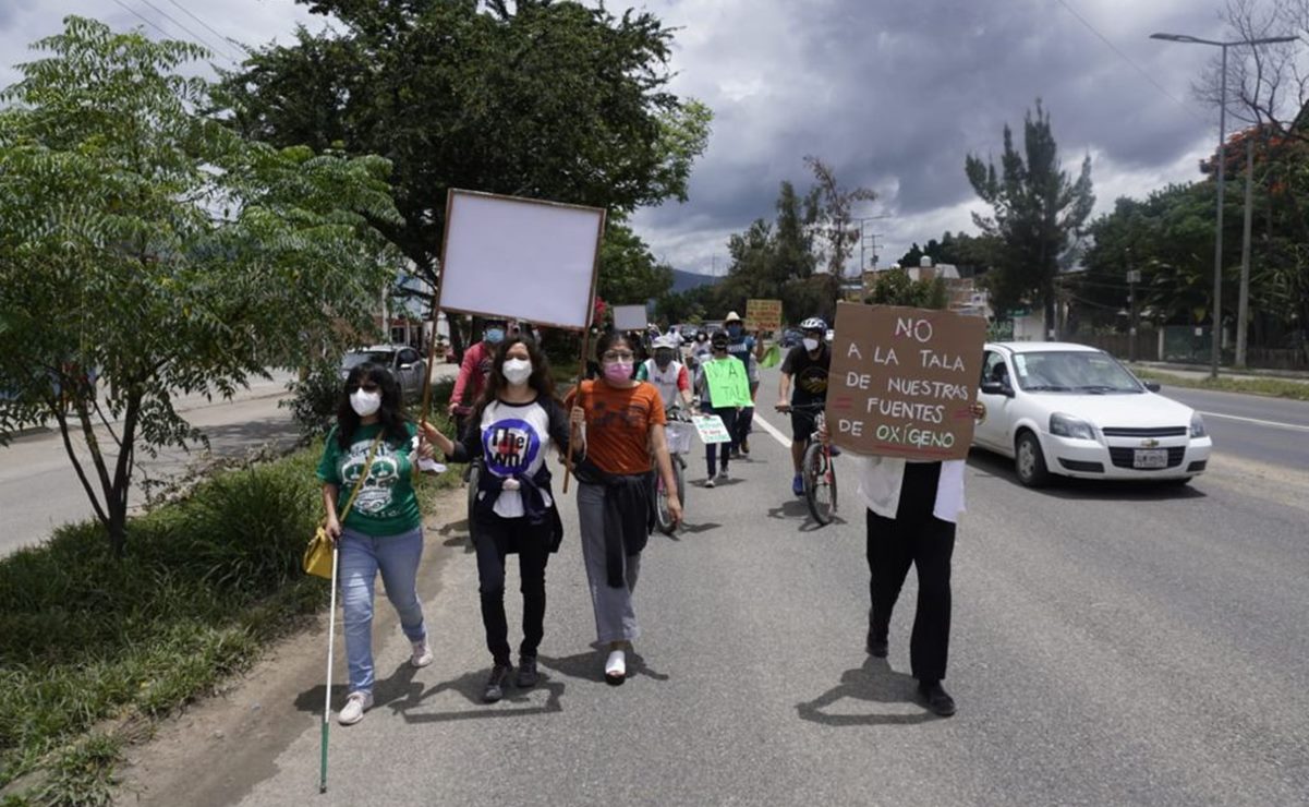 Ante rechazo de obra vial en la capital de Oaxaca por derribo de árboles, la clausuran simbólicamente