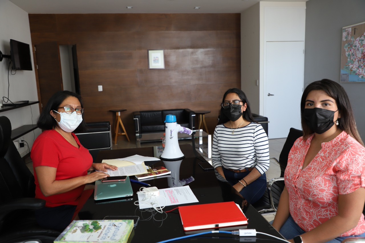 Colectivas feministas de Oaxaca piden a Presidenta del IEEPCO impedir participación de deudores alimentarios en proceso electoral