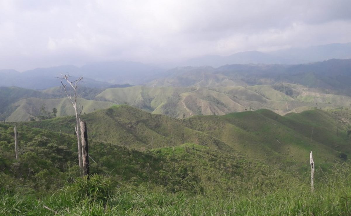 Belisario Domínguez, el municipio que Chiapas creó en Los Chimalapas de Oaxaca, pero que nunca funcionó