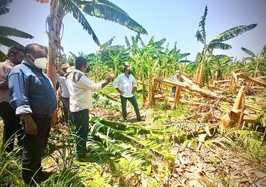 Lluvias vuelven a cerrar vía Oaxaca-Istmo; en la Cuenca hay mil hectáreas de cultivos afectadas
