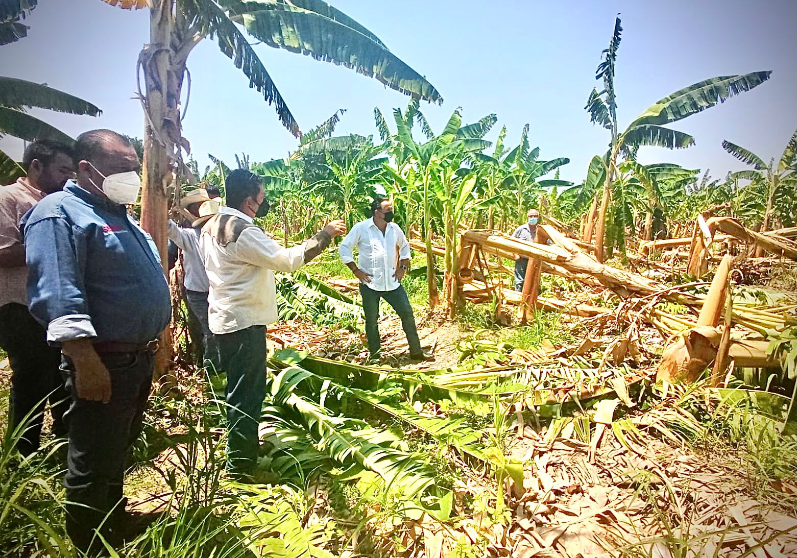 Fotos: Gobierno de Oaxaca