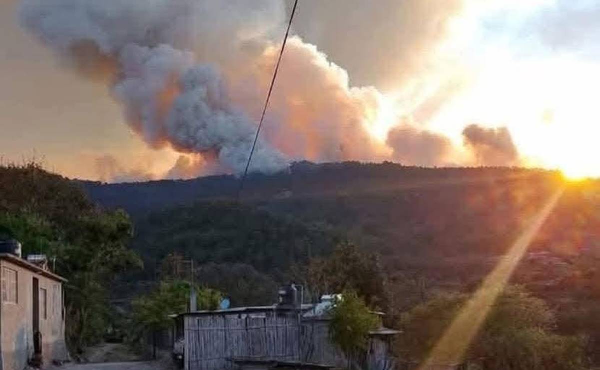 Comunidades de Oaxaca piden apoyo de voluntarios para apagar incendios; hay 9 activos 