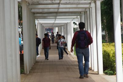 Cesan a maestros señalados de acoso sexual en la UABJO