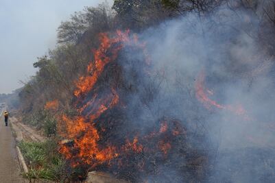 Se registran 243 incendios  en primeros cinco meses de 2019