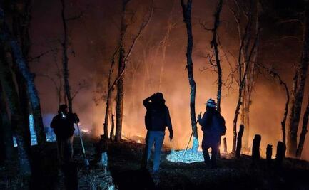 Con cierres carreteros, exigen en Oaxaca ayuda aérea urgente para sofocar incendio forestal