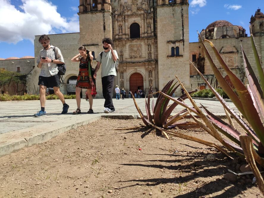 Reportan 664 nuevos casos de Covid-19 en Oaxaca; mil 889 se mantienen activos. Foto: Mario Arturo Martínez