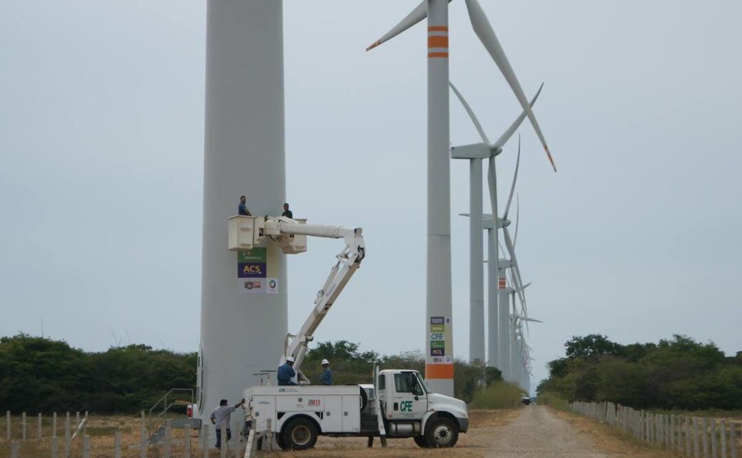 Foto: Edwin Hernández