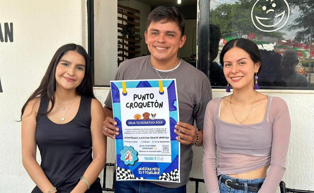 Realizarán la primera Feria de la Adopción de lomitos abandonados en Tuxtepec, Oaxaca. Foto: Especial