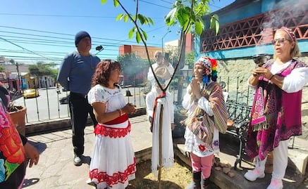 Richard Torres, activista peruano, planta un árbol por la paz en Oaxaca