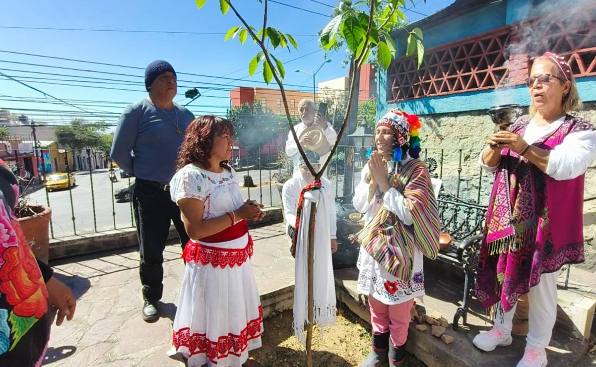 Richard Torres, activista peruano, siembra un árbol por la paz en Oaxaca