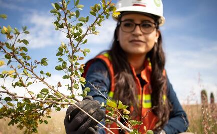 Con acciones a favor del ambiente, Minera Cuzcatlán busca ser una empresa ecoeficiente