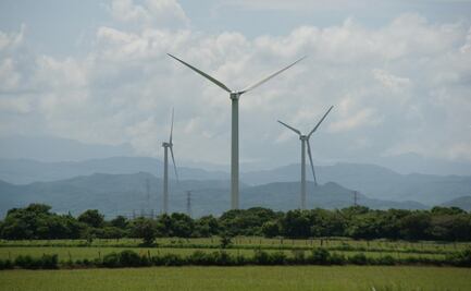 Parques eólicos anunciados por AMLO en el Istmo de Oaxaca “no serán negocio”, afirma experto