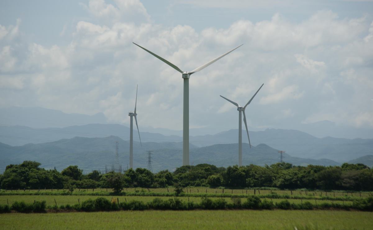Parques eólicos anunciados por AMLO en el Istmo de Oaxaca “no serán negocio”, afirma experto. Foto: Edwin Hernández