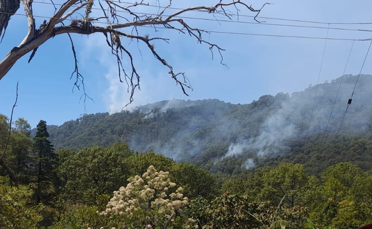 Los incendios forestales cumplieron dos semanas en la zona triqui de Oaxaca. Foto: Especial