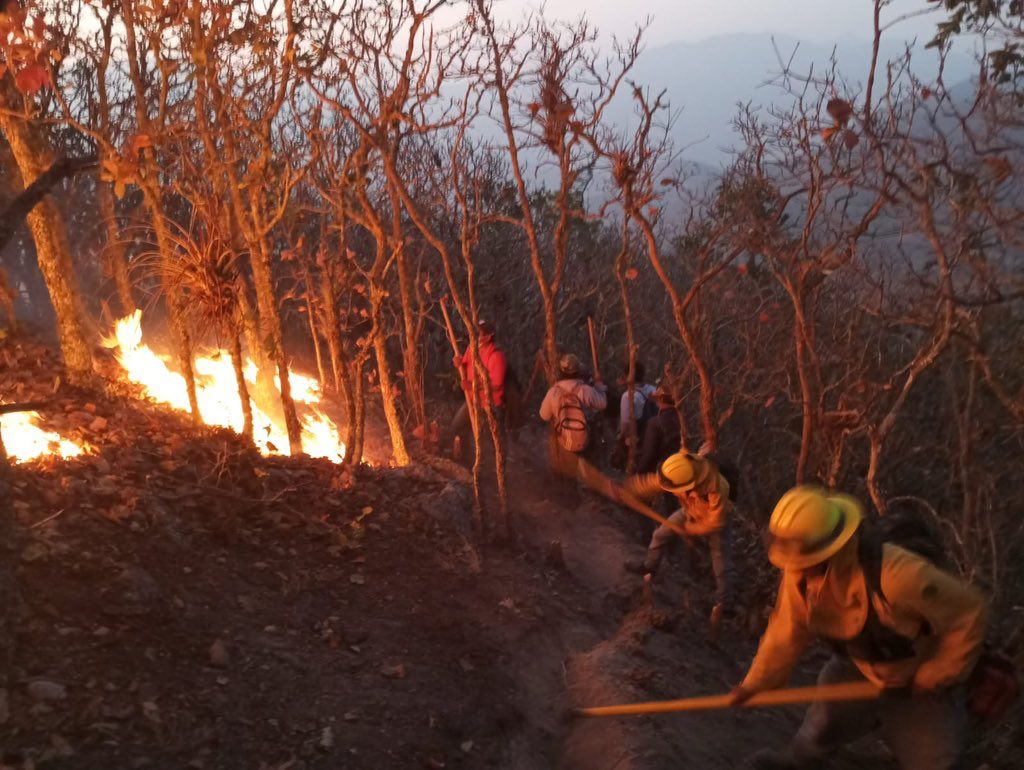 Declaran liquidado incendio forestal en Quiaviní que causó muerte de 5 comuneros en Oaxaca