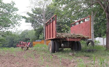 Frenan en Oaxaca lotificación de parcelas en ejido Tuxtepec tras despojo de 242 hectáreas