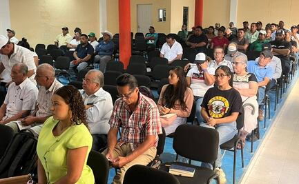 Productores de mango del Istmo de Oaxaca redoblan esfuerzos al cuidado de huertos, ante amenaza de plaga de mosca