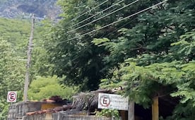 Edil de Tlacotepec arremete contra CFE por falta de prevención; alerta por árbol que amenaza cables de alta tensión