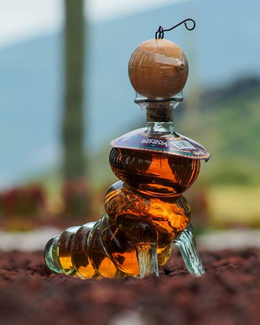 Mezcal Benevá: Foto: mezcal_beneva