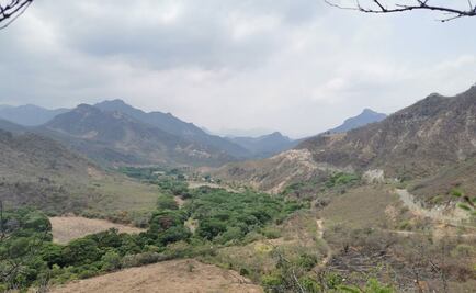 Organizaciones piden al gobierno federal mecanismo para atender a comunidades indígenas ante Covid-19