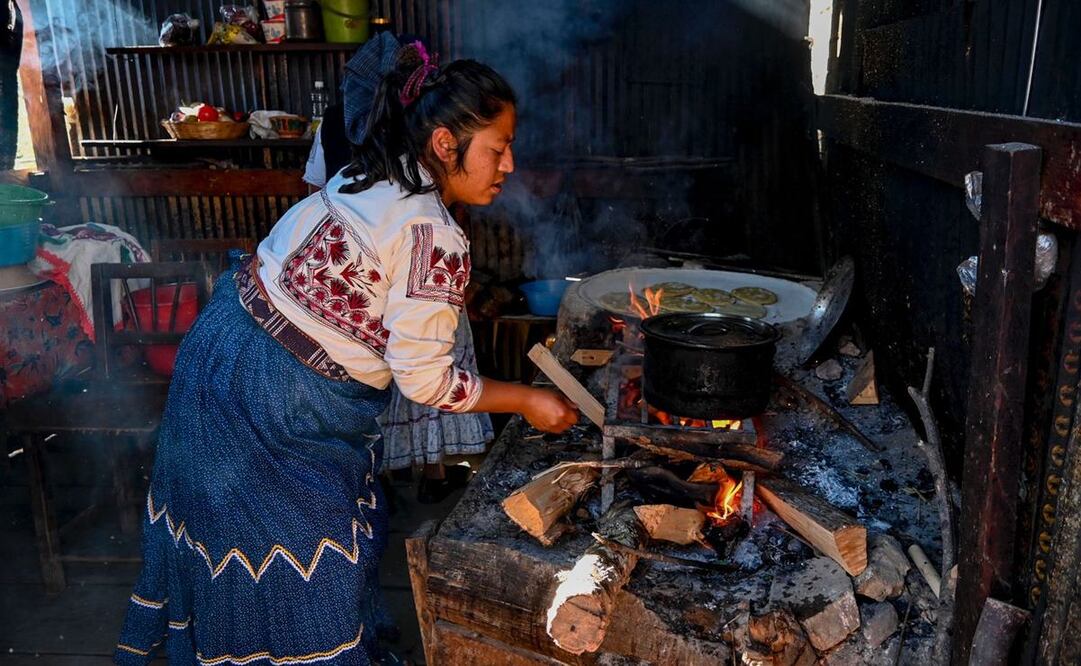 Leche con tuna, 5 años de periodismo sobre la identidad y la esencia de la gastronomía de Oaxaca. Fotos: Cortesía
