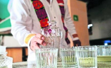 Deforestación: el lado oscuro de la industria del mezcal en Oaxaca; cámaras culpan al gobierno