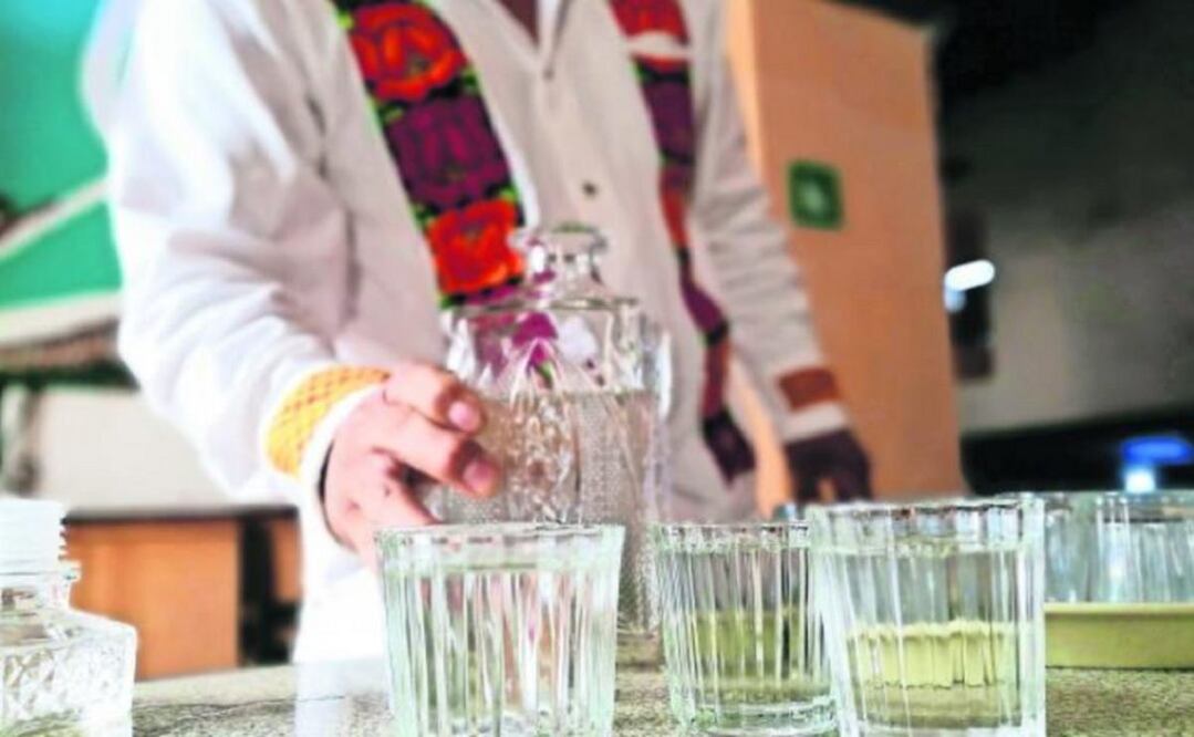 Deforestación: el lado oscuro de la industria del mezcal en Oaxaca; cámaras culpan al gobierno. Foto: Archivo EL UNIVERSAL