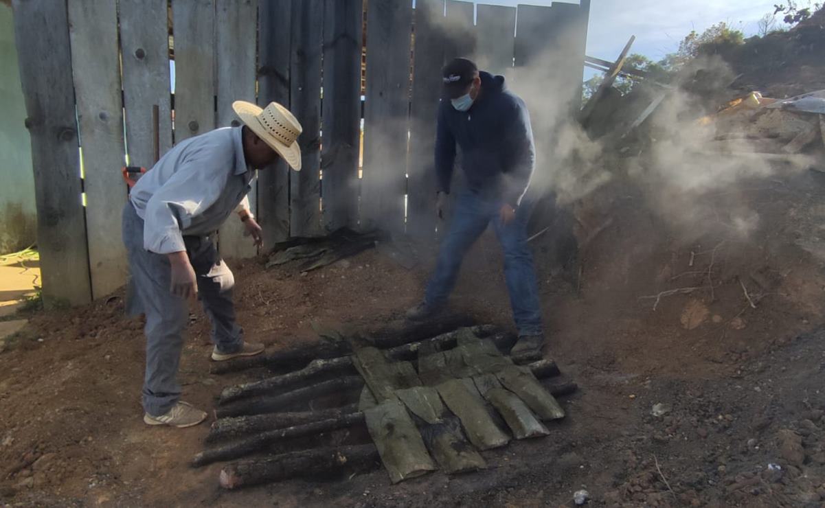 Estiman retorno de 10 mil paisanos a Oaxaca por fiestas; Mixteca encabeza llegada de migrantes