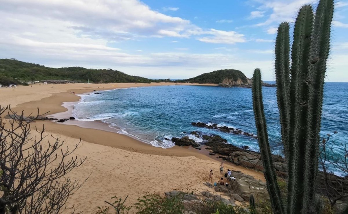 Acusa a Bolaños-Cacho, senador del Verde por Oaxaca, de bloquear y evadir prohibición de plásticos a favor de los mares