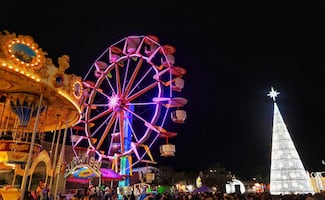 Parque primavera Oaxaqueña: ¿Cómo llegar y cuánto cuesta?