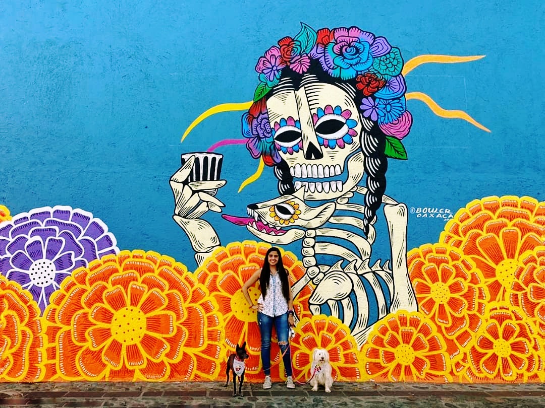 Foto: Instagram @huitlacoche.lollapalooza.