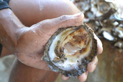 Declaran veda en el Istmo por marea roja