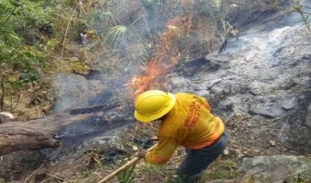 Además de pandemia por Coronavirus, Oaxaca enfrenta incendios forestales
