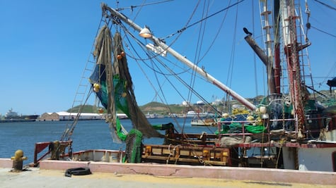 Por falta de diésel, flota camaronera en Salina Cruz no inicia temporada de captura