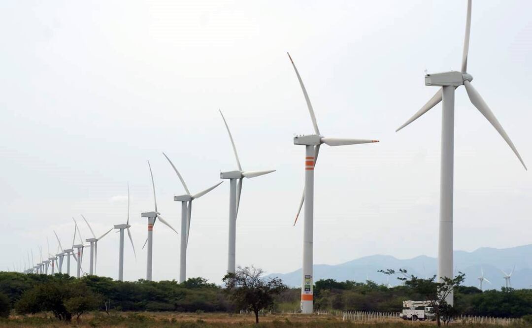 Foto: Archivo/EL UNIVERSAL