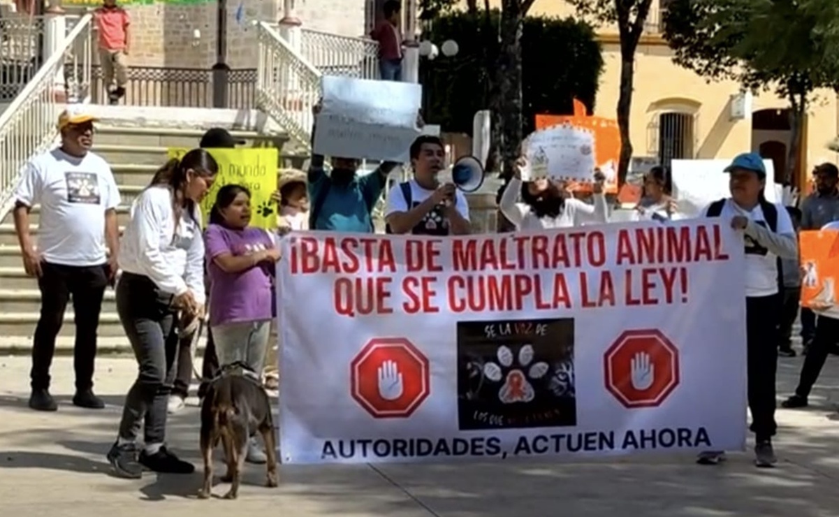 Marcha contra el maltrato animal en Tlaxiaco, Oaxaca. Foto: Especial