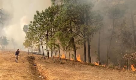 En plena pandemia, incendio forestal dejó sin agua a pobladores de Tepejillo