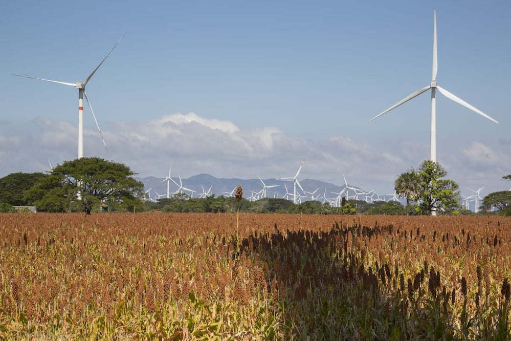 Proyecto eólico Gunaa Sicarú en Unión Hidalgo, Oaxaca. Foto: Especial