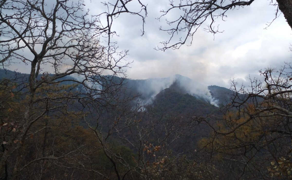 La Conafor reportó  que en Oaxaca se encuentran activos otros tres incendios. Foto: Especial